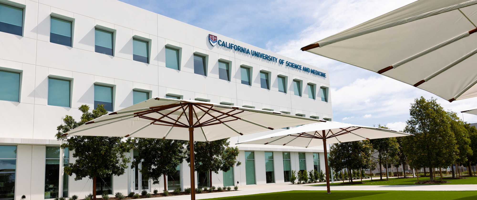 CUSM building with courtyard and umbrellas